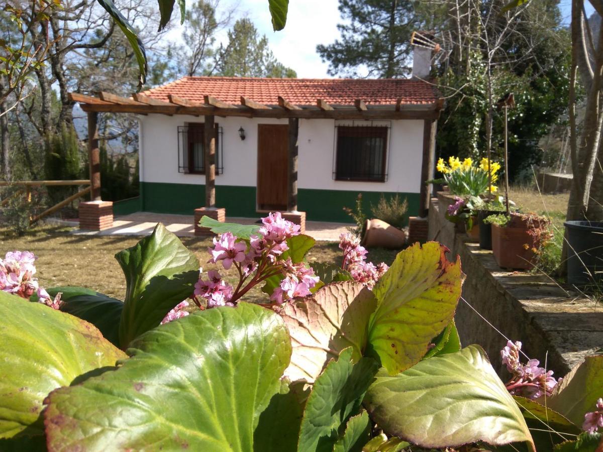 Casa Balbina Apartment Arroyo Frio Exterior photo